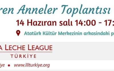 14.06.2016 Antalya Emziren Anneler Pikniği