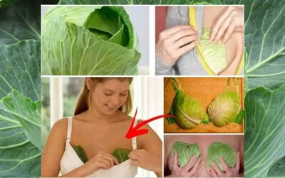 Engorjman ve Lahana: Emzirme Dostu Doğal Bir Yöntem